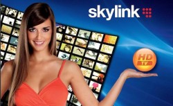 Skylink
